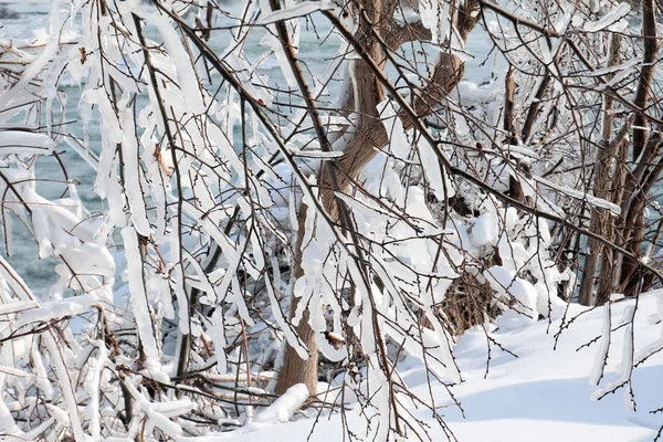 Winter Auf Dem Niagara Fluss — Stockfoto