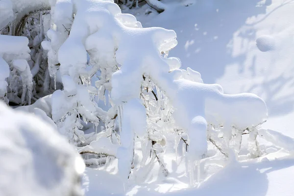Зима Ниагаре — стоковое фото