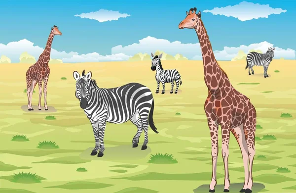 Giraffe Zebre Foresta Africana Sullo Sfondo Vettore — Vettoriale Stock