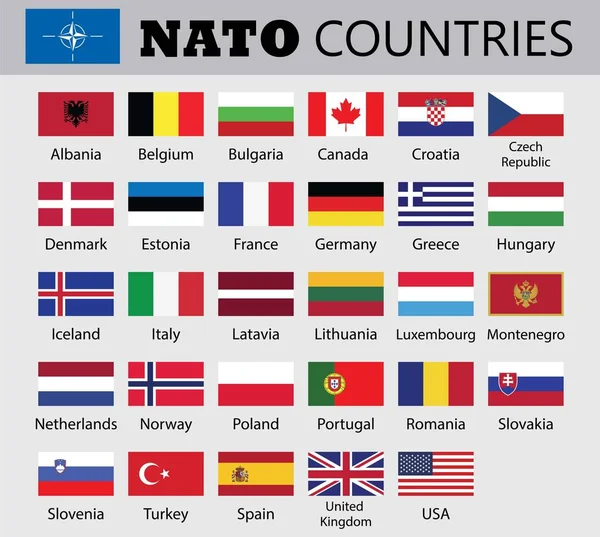 Nato Mitgliedsländer Flags Nato Mitgliedsländer Flaggen Zeichnung Von Illustration Usa — Stockvektor