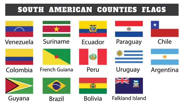 Fourteen South American Countries Flags South American Countries Flags Drawing — Stock Vector