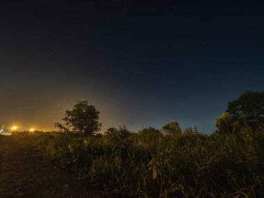 Ormanda gece gökyüzü parlayan yıldız