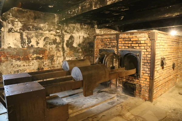 Auschwitz, Polonya - 15 Şubat 2016: Auschwitz toplama kampı