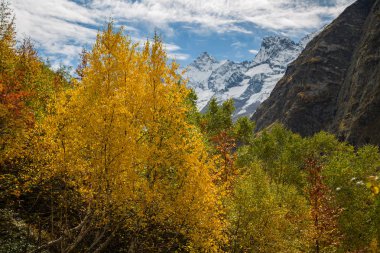 Sonbahar dağ Vadi manzarası. Sonbaharda dağ gölü. Sonbahar dağ Gölü Panoraması.