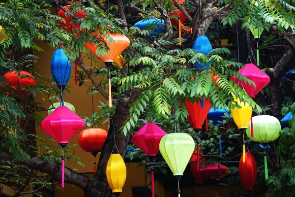 Colorate Lanterne Seta Tradizionali Appese Albero Vietnam — Foto Stock