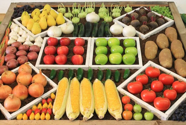 Τυπική Οθόνη Ρύθμιση Από Ώριμα Φρούτα Και Λαχανικά Μια Αγροτική — Φωτογραφία Αρχείου