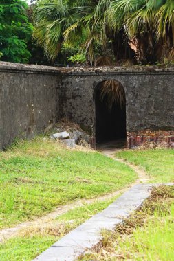 Kırsal Vietnam tropikal ormanda bir antik taş duvara bir kapıdan sarma yol açar