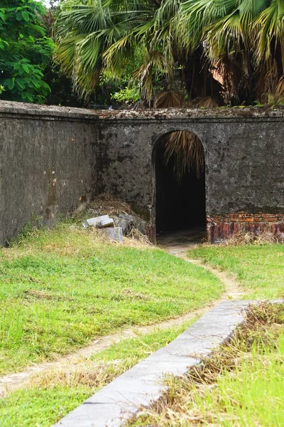 Kırsal Vietnam tropikal ormanda bir antik taş duvara bir kapıdan sarma yol açar