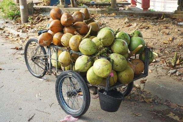 在越南农村的街道上 一辆自行车踏板推车装满了新鲜的 完整的椰子 外壳仍在出售 — 图库照片