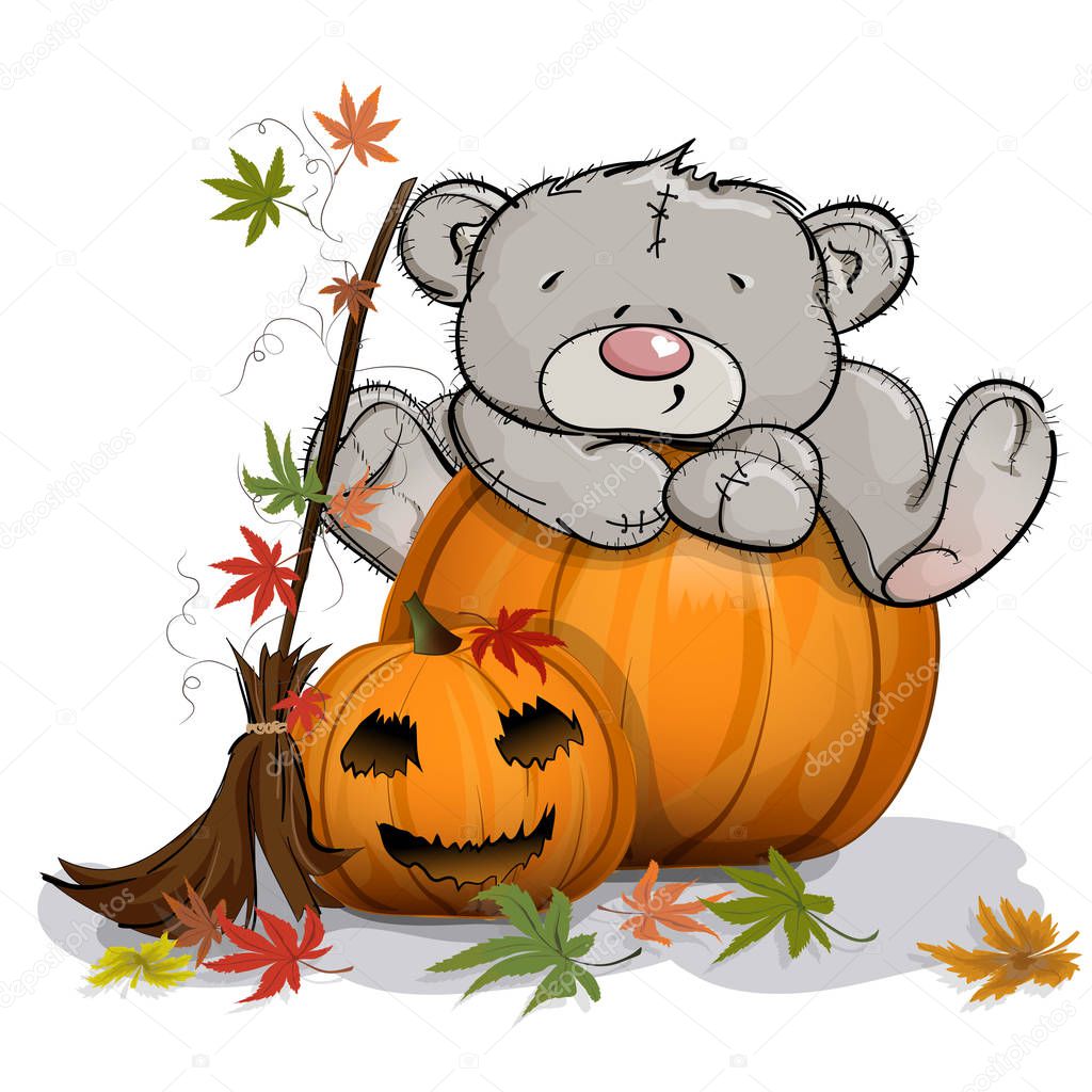 Teddy bear climbed on a huge Halloween pumpkin. White background.