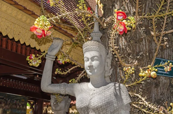 Phnom Penh Cambodja April 2018 Vrouwelijke Standbeeld Onder Cannonball Boom — Stockfoto