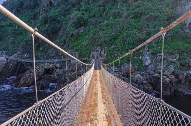 Suspension footbridge over the Storms River in the Tsitsikamma National Park clipart