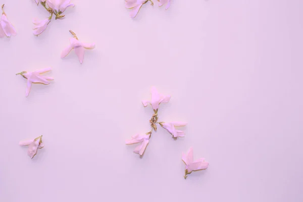 Light pink flowers. Petals, buds. Light pink background. Backdrop with flowers. Elegant decor.