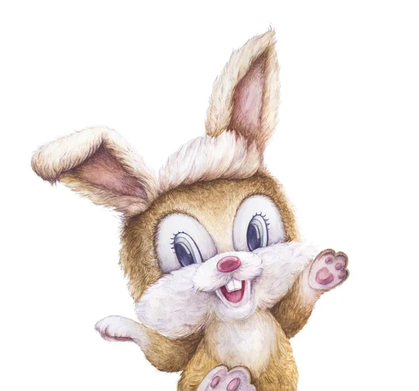 Acuarela. Feliz Conejo sonriendo. Lindo conejito. Personaje de niños. Regalo de arte recién nacido. Calidad de impresión. Fondo blanco . —  Fotos de Stock