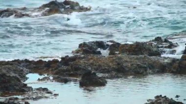 Deniz suyu kıyıya taşlar arasında akar, güçlü bir rüzgar sırasında taş kıyı, sıçramaları ve köpük, hareket bir sürü, yüksek kontrast
