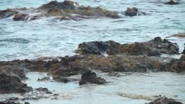 Deniz suyu kıyıya taşlar arasında akar, güçlü bir rüzgar sırasında taş kıyı, sıçramaları ve köpük, hareket bir sürü, yüksek kontrast