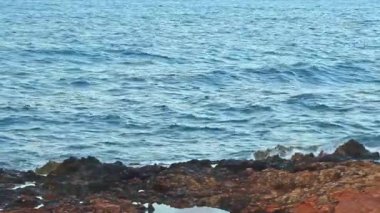 Rüzgar sırasında kıyıya yakın denizin akşam görünümü, sıçramalar ve köpük, yüksek kontrast, hareket bir sürü ile kıyıya karşı bir dalga tatili