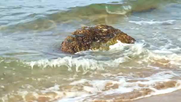 Fale Morskie Przepływają Wokół Małego Kamienia Przy Piaszczystej Plaży Jasnym — Wideo stockowe