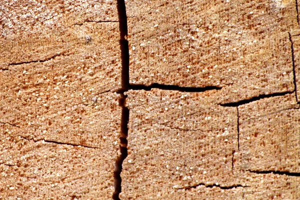 Gambar Latar Belakang Pada Potongan Pohon Retakan Dan Tekstur Kayu — Stok Foto