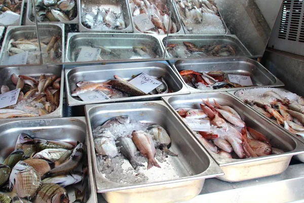 Čerstvé Ryby Počítadle Řeckém Ostrově Přístavu Pokryté Ledem Různé Druhy — Stock fotografie
