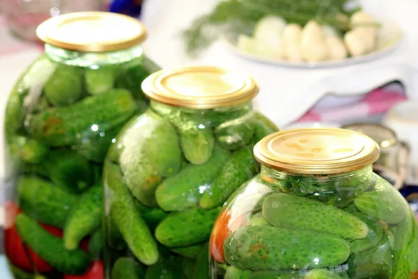 Harvesting Cucumbers Tomatoes Winter Rural Conditions Laying Vegetables Glass Jar — Stock Photo, Image