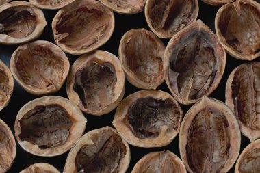 Doğal ceviz kabukları çekirdekleri koyu arka plan. Üstte görüntü.