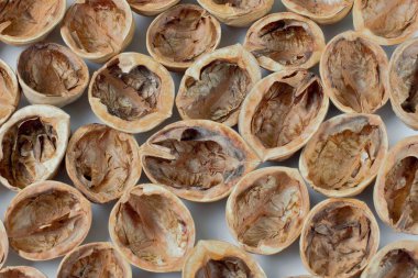 Kabukları beyaz bir arka plan üzerinde ceviz doğranmış, parlak renkler, yüksek kontrast.