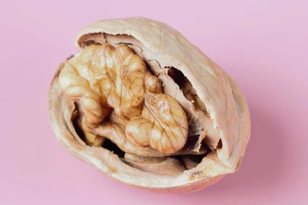 Walnut Kernel Close Fundo Rosa Alto Contraste Cores Brilhantes — Fotografia de Stock