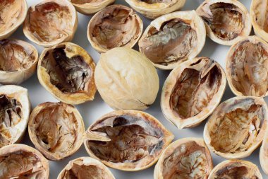 Beyaz arka planda tam ve doğranmış ceviz, parlak renkler., 