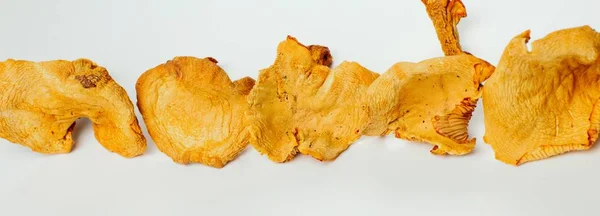 Dried Chanterelles Wide Panorama Bright Natural Color High Contrast — Stock Photo, Image