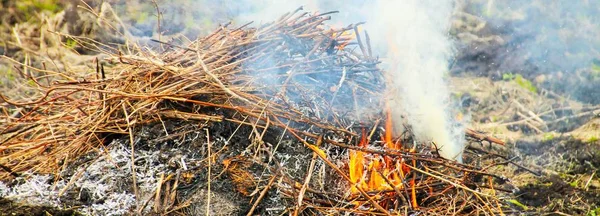 Concept: the beginning of the spring fire from a small fire when burning garbage. Bright colors, high contrast.