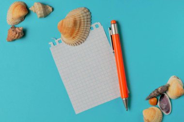 Konsept: deniz kabukları ve kayıtlar için bir günlük sayfası, metin için alan, mavi arka plan, parlak renkler.