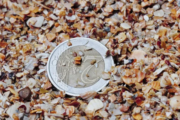 Conceito Encontra Praia Uma Moeda Dois Euros Areia Close Fundo — Fotografia de Stock