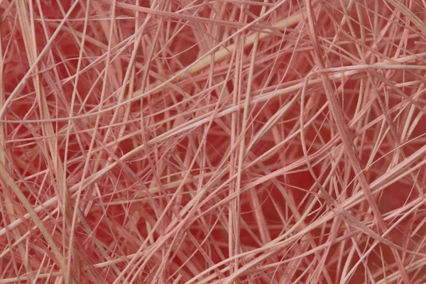 Pink wood fiber packaging material as background, close-up, high contrast, bright color