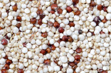 Bir arka plan olarak Quinoa taneleri, doğal renk, yakın çekim, yüksek kontrast.