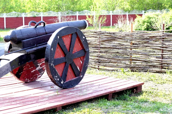 Model Old Cannon Made Wood Big Wheels Hedge Willow Branches — Stock Photo, Image