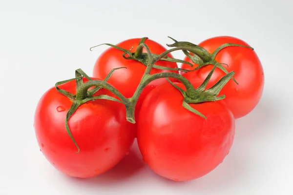 Τέσσερις Ώριμες Φρέσκες Ντομάτες Ένα Κλαδί Φωτεινό Ζουμερό Χρώμα Υψηλή — Φωτογραφία Αρχείου