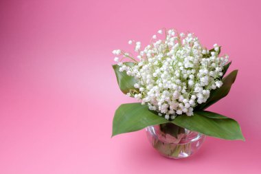 Pembe bir arka plan üzerinde cam bir vazo içinde vadinin orman zambak (Convallaria) büyük bir buket, metin için yer, parlak renk, yüksek kontrast.