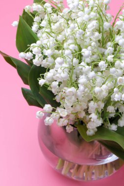 Pembe bir arka plan, parlak renk, yüksek kontrast üzerinde bir cam vazo içinde vadinin orman zambak (Convallaria) büyük bir buket.