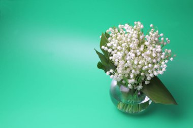 Yeşil bir arka plan, parlak renk, yüksek kontrast üzerinde bir cam vazo içinde vadinin orman zambak (Convallaria) büyük bir buket.