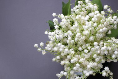 Koyu bir arka plan, metin, parlak renk, yüksek kontrast için yer karşı cam bir vazo içinde vadinin orman zambağı büyük bir buket.