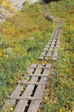 Yokuş yukarı giden eski ahşap merdivenler, parlak doğal renkler, dikey çerçeve.