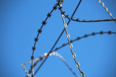 Parlak mavi gökyüzüne karşı dikenli tel parçası. Kavram: özgürlük, bağımsızlık, hapishane, kapalı bölge.
