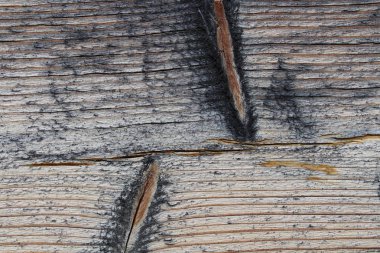 Ahşap yüzey bir arka plan olarak güneşte yandı. Doğal koyu renk, yüksek kontrast.