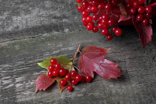 Reife Saftige Beeren Von Medizinischem Viburnum Auf Rauem Rustikalem Hintergrund — Stockfoto