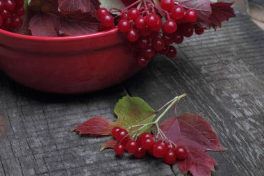 Viburnum, ilginç bir yapı, parlak doğal renkler ile rustik bir arka plan üzerinde sonbahar boyama dallarında yaprakları ile sulu ve olgun meyveleri.