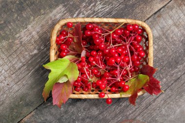 Rustik koyu arka plan, üst görünüm, parlak doğal renkler üzerinde el yapımı küçük bir hasır sepet viburnum parlak ve sulu çilek.