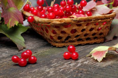 Rustik koyu arka plan, parlak doğal renkler üzerinde el yapımı küçük bir hasır sepet viburnum parlak ve sulu meyveleri.