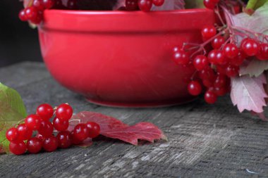 Viburnum, ilginç bir yapı, parlak doğal renkler ile rustik bir arka plan üzerinde sonbahar boyama dallarında yaprakları ile sulu ve olgun meyveleri.