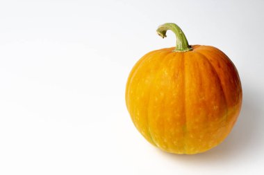 Tatil ana özelliği Halloween, metin için yer ile beyaz bir arka plan üzerinde kabak, parlak doğal renk, yüksek kontrast.